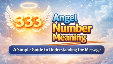 333 Angel Number Meaning